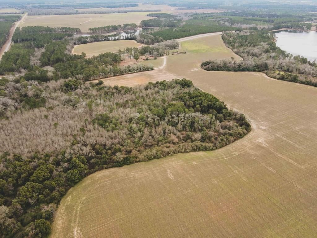 145 acres in Thomas County,