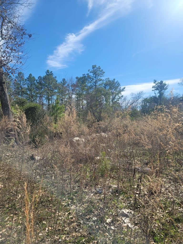 2784 County Road 100, Elkhart, TX 75839 MLS 96778