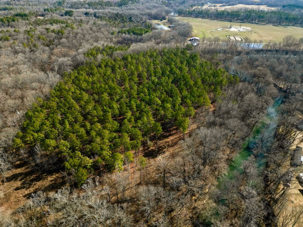 TBD Old River Road, Pangburn, AR 72121 MLS Cleburne 40