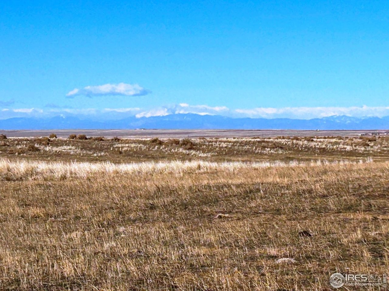 35 acres in Weld County, Colorado