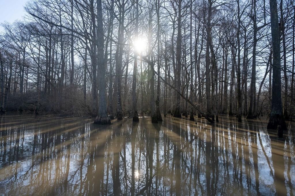 439 acres in Woodruff County, Arkansas