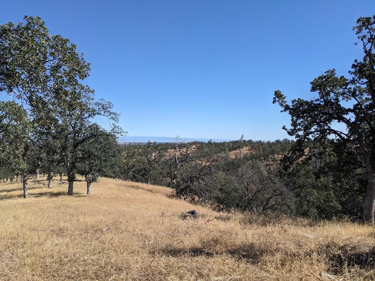 38.97 acres in Tehama County, California