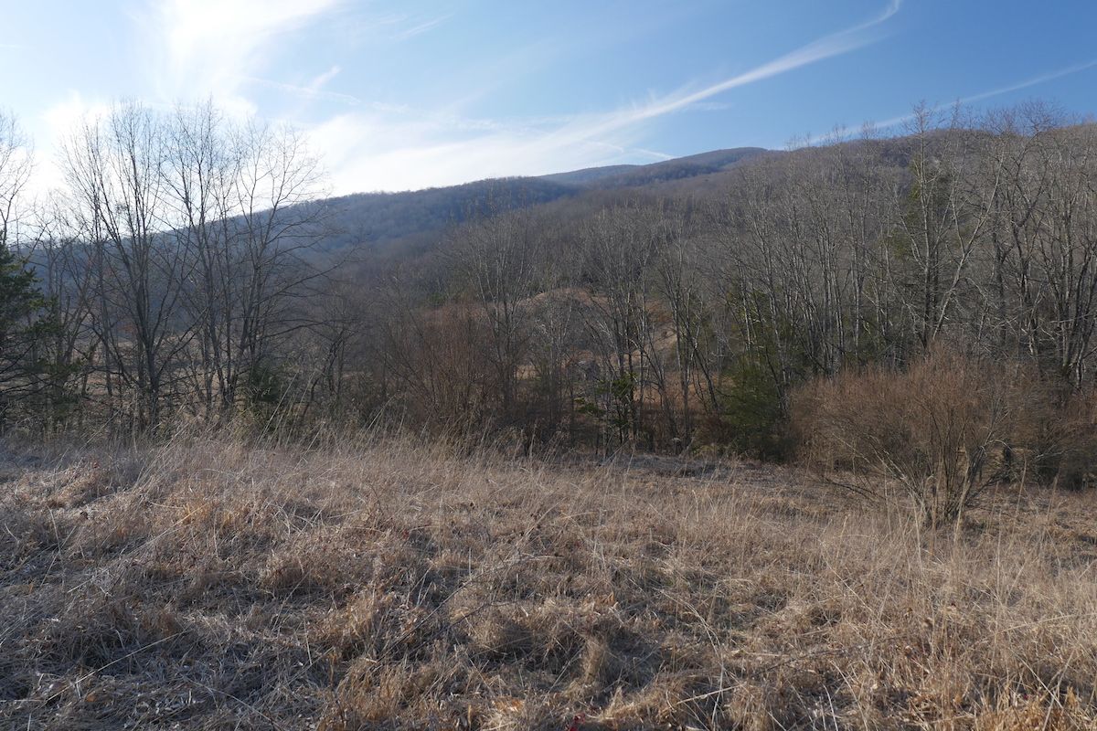 Poor Valley Road, LotWP001, Ceres, VA 24318