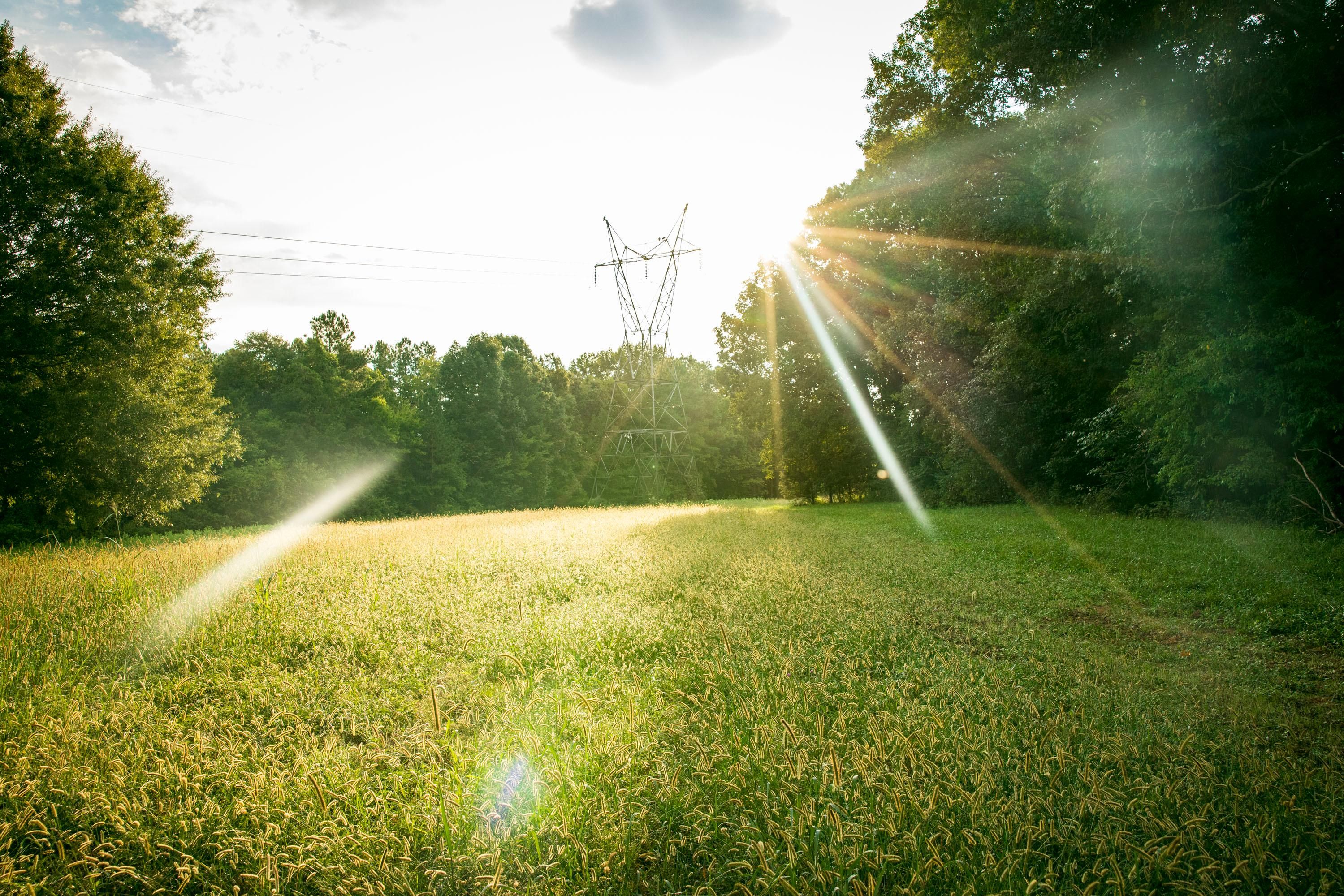 75 acres in Moulton, AL, 35650