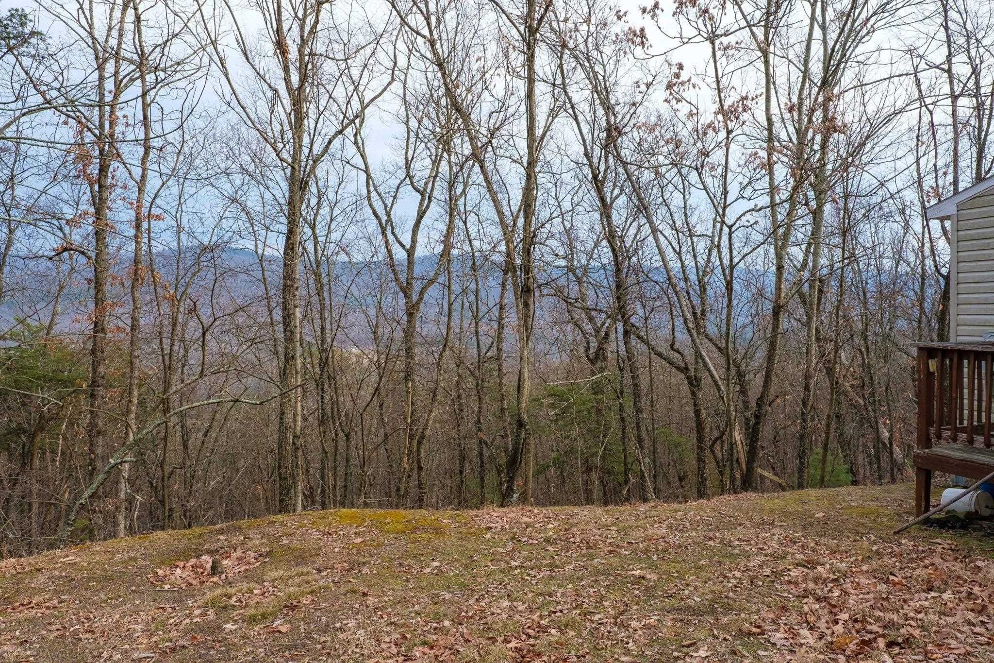 33.73 acres in Hardy County, West Virginia