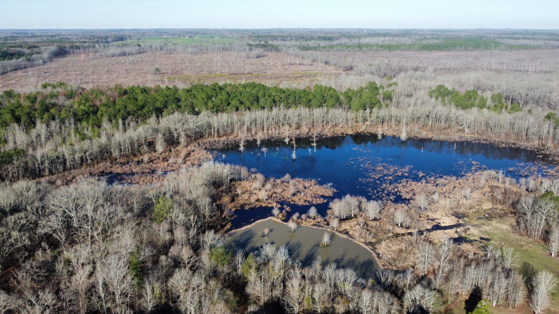 51 Acres, Hinds County, MS, Terry, MS 39170