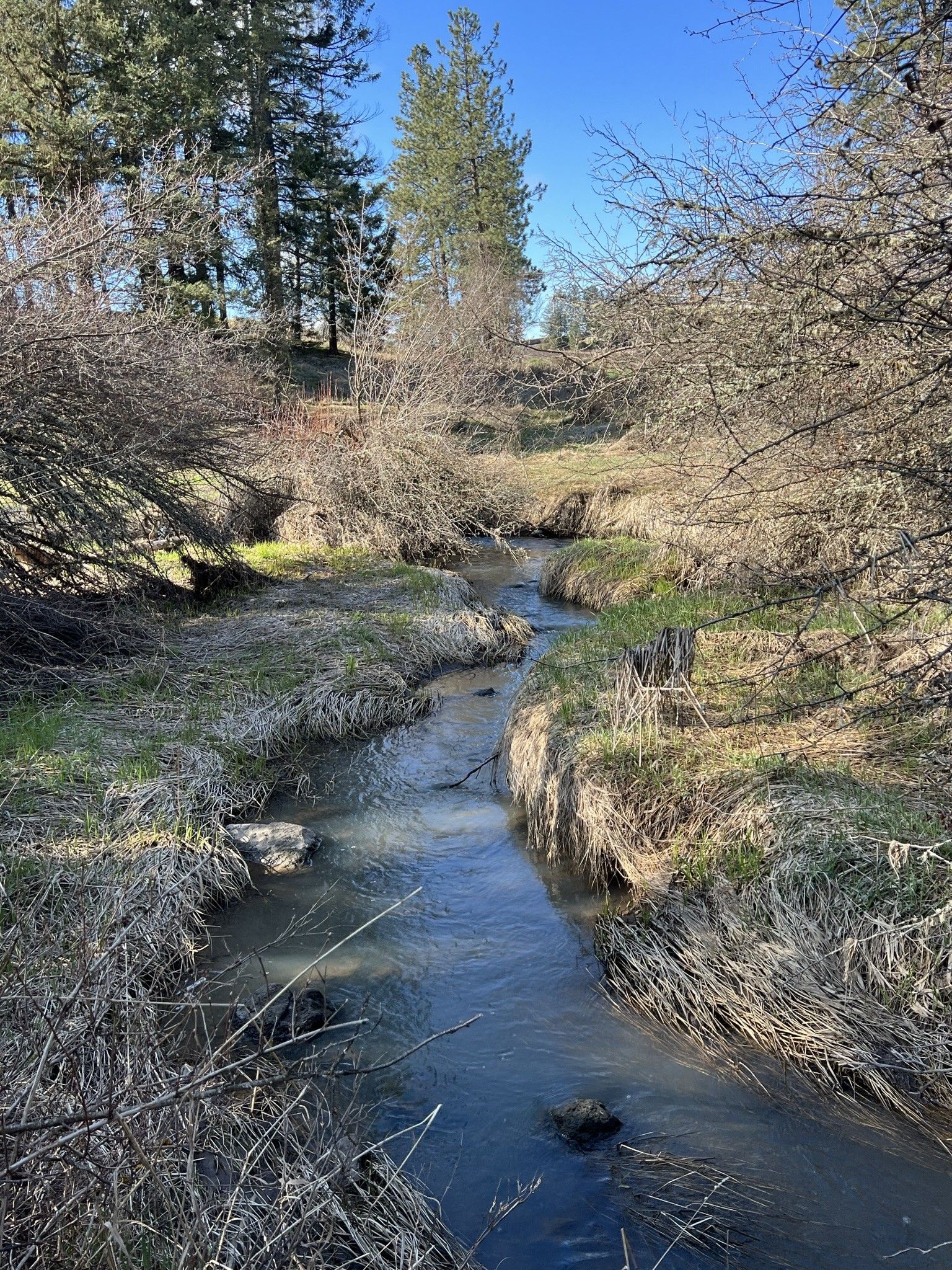 20.01 acres in Clearwater County, Idaho