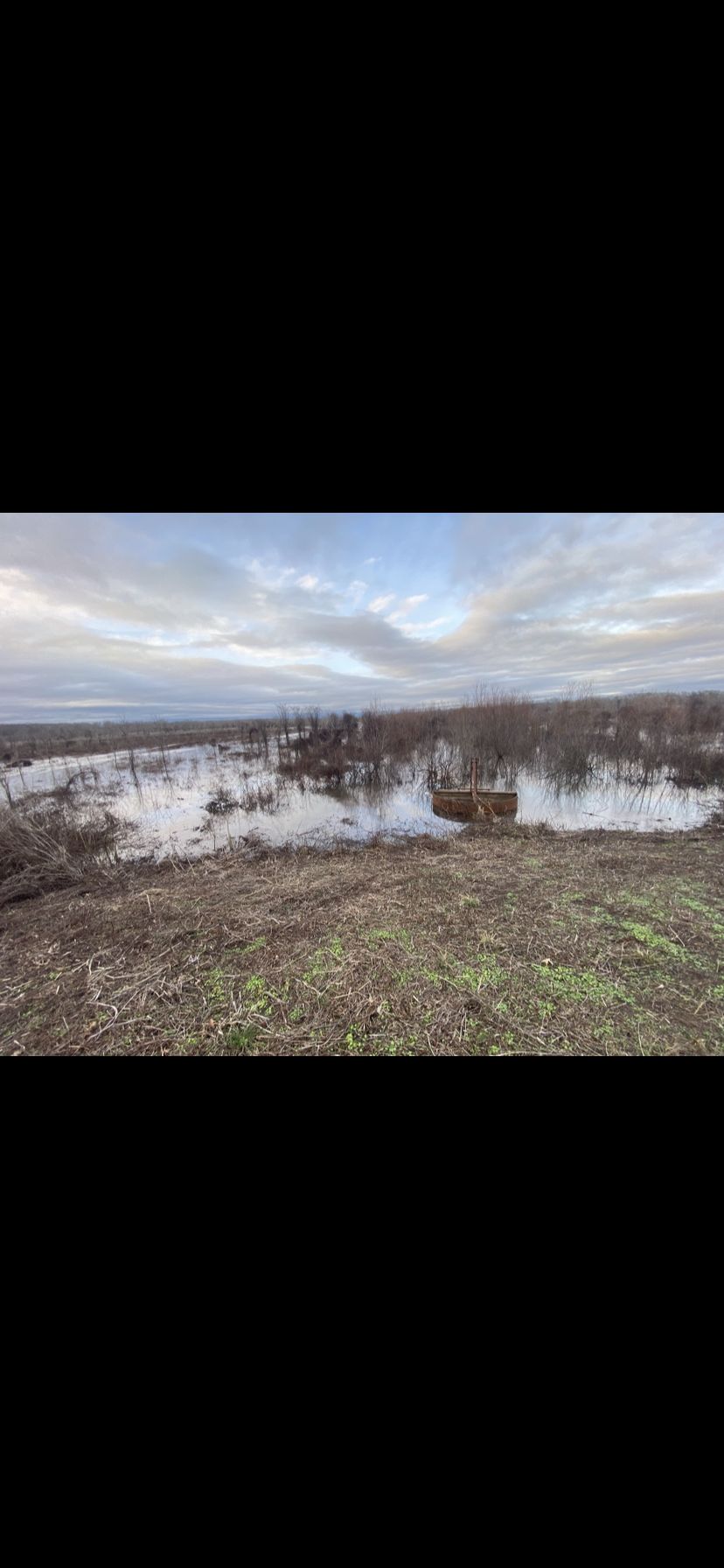 395 acres in Columbia, LA, 71418