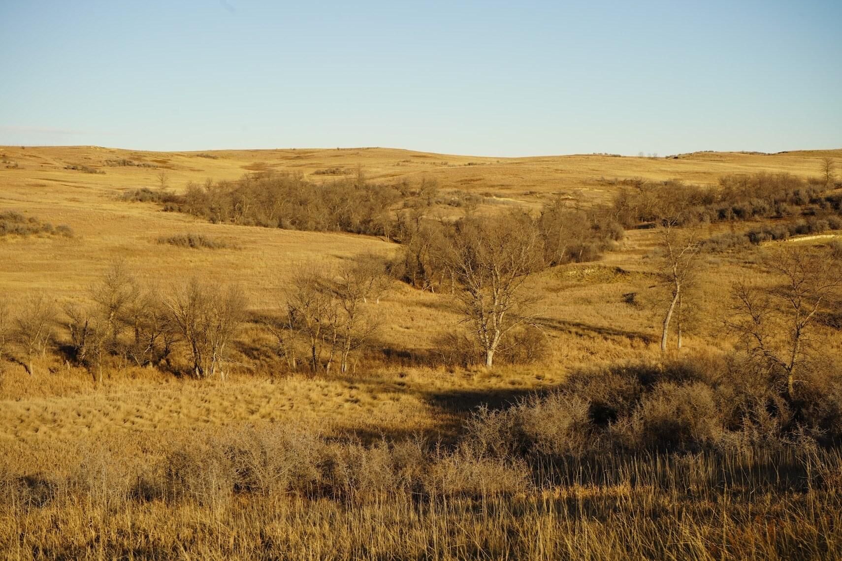 1,275.88 acres in Wibaux County, Montana
