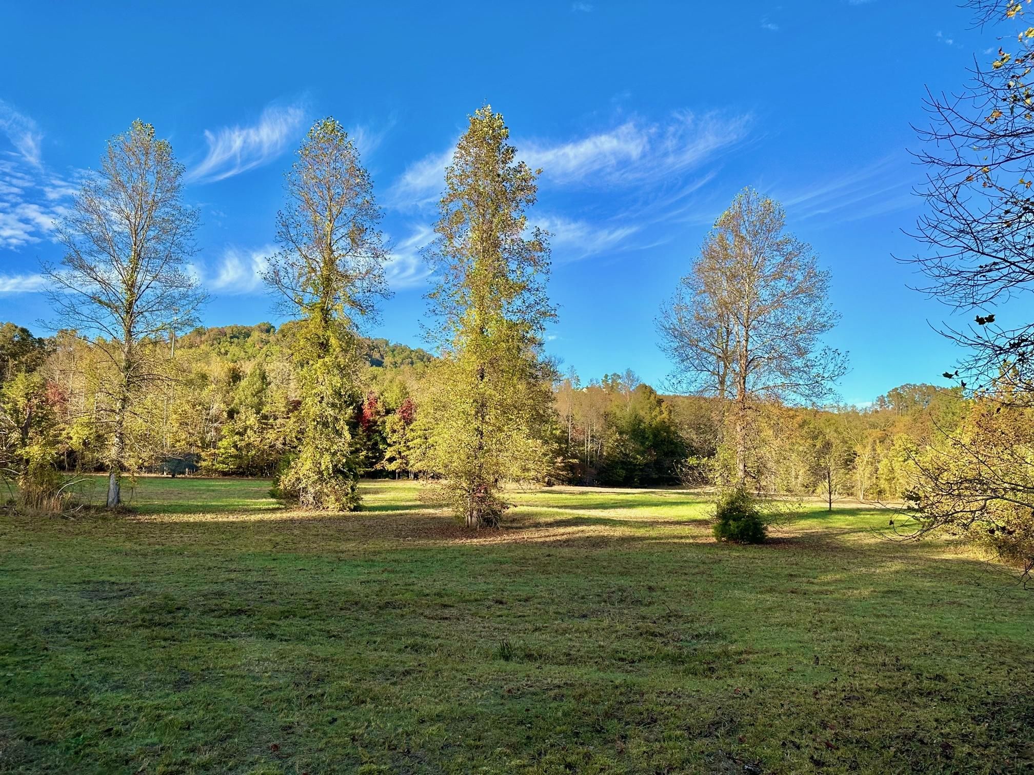 McOwenben Pass, Lake Lure, NC 28746 MLS 4082091