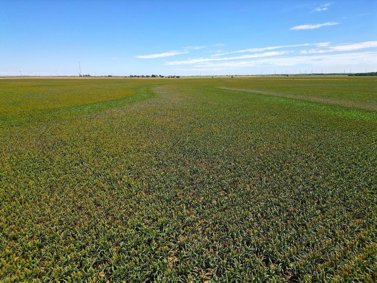 160 acres in Kiowa County, Oklahoma