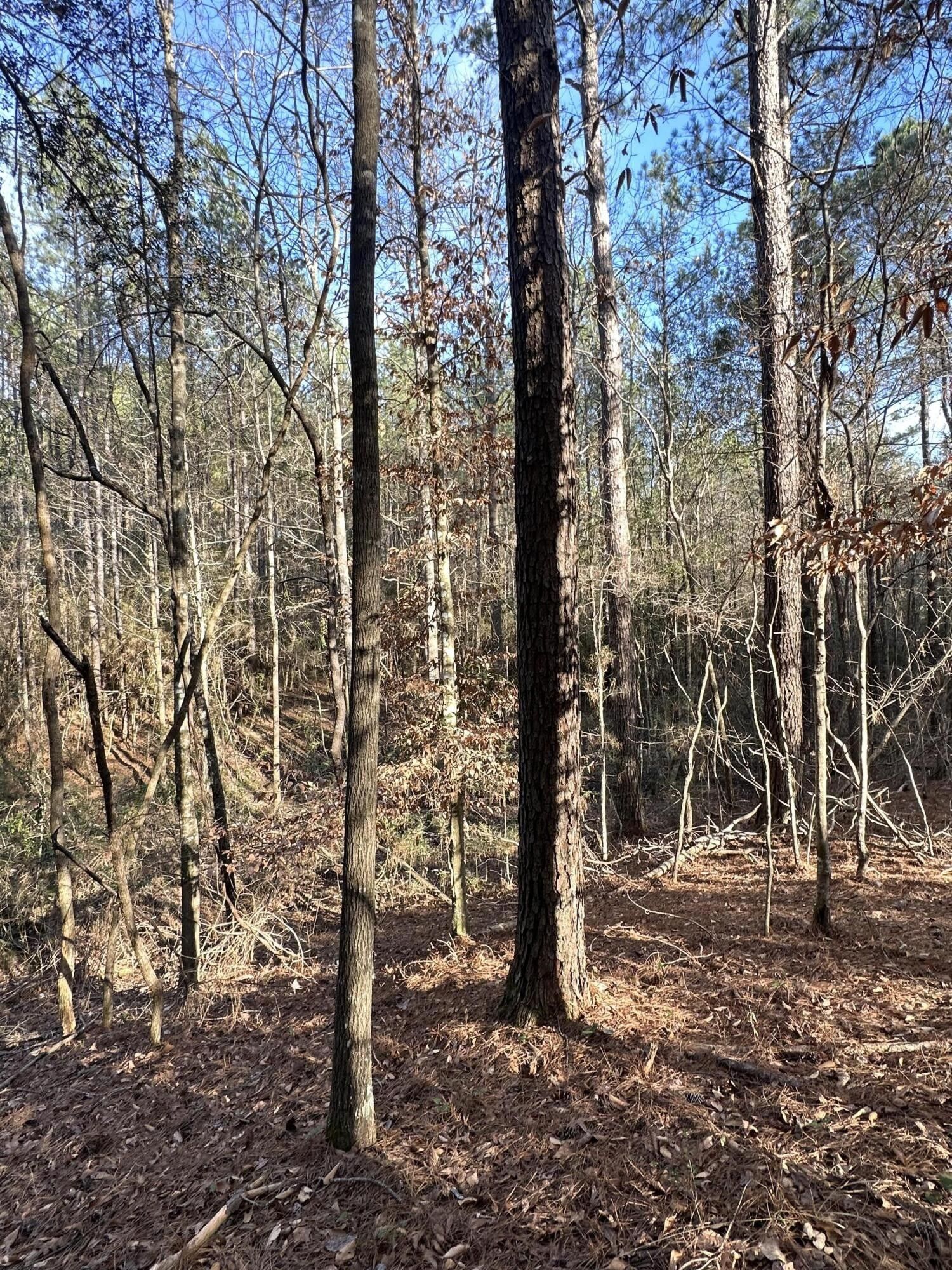 80 acres in Jefferson Davis County, Mississippi