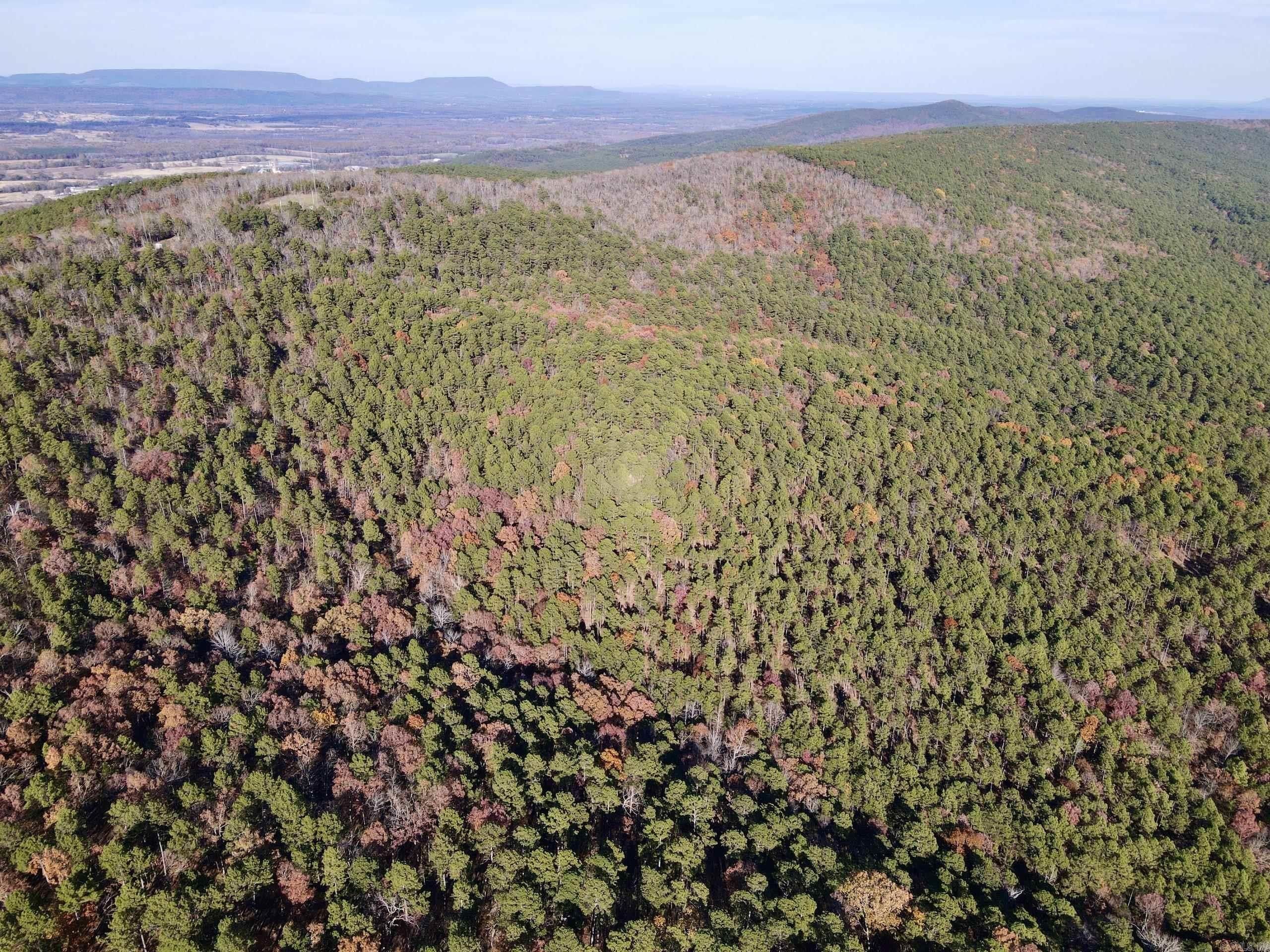 40 acres in Yell County, Arkansas