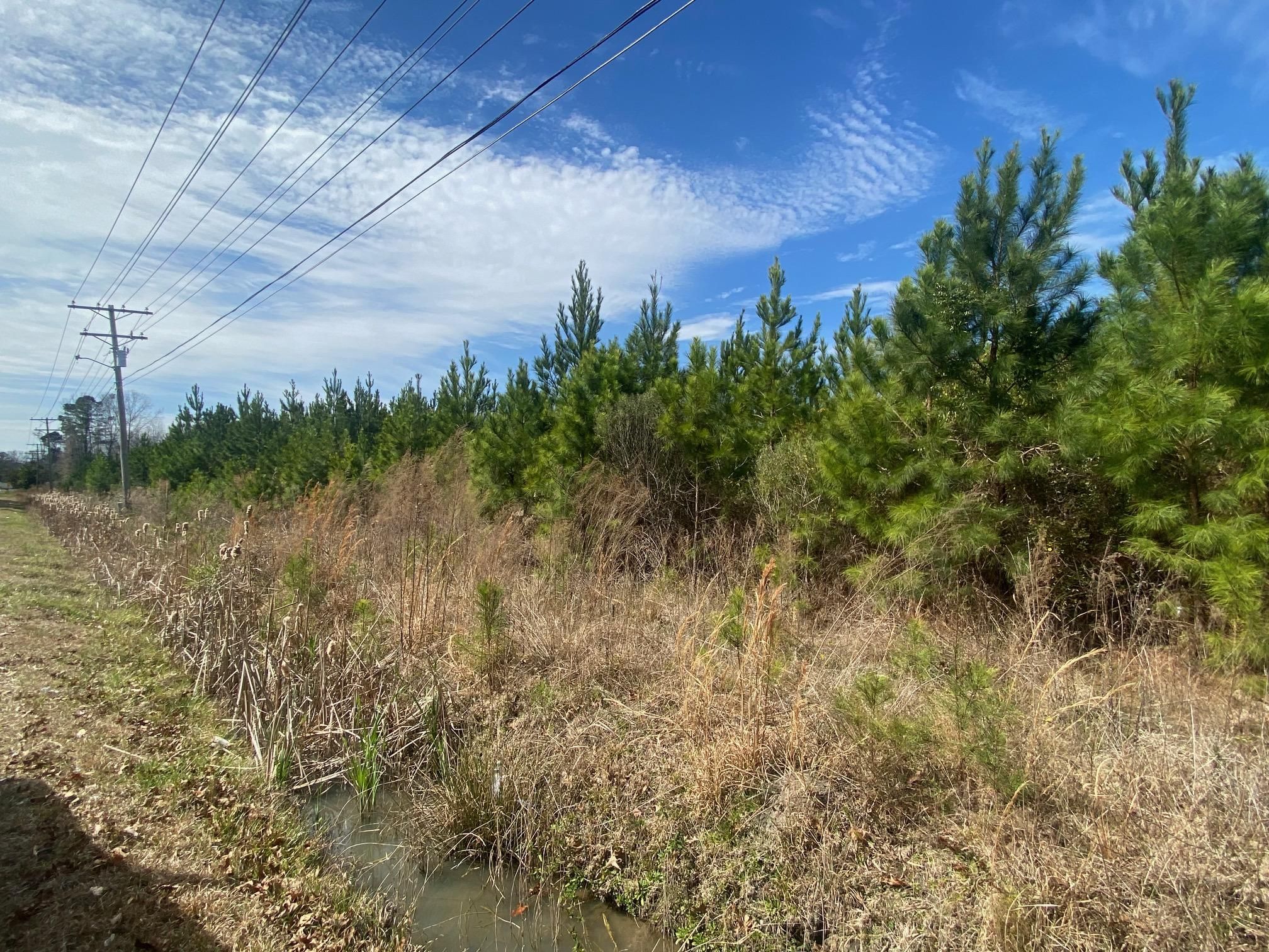 51 acres in County, South Carolina
