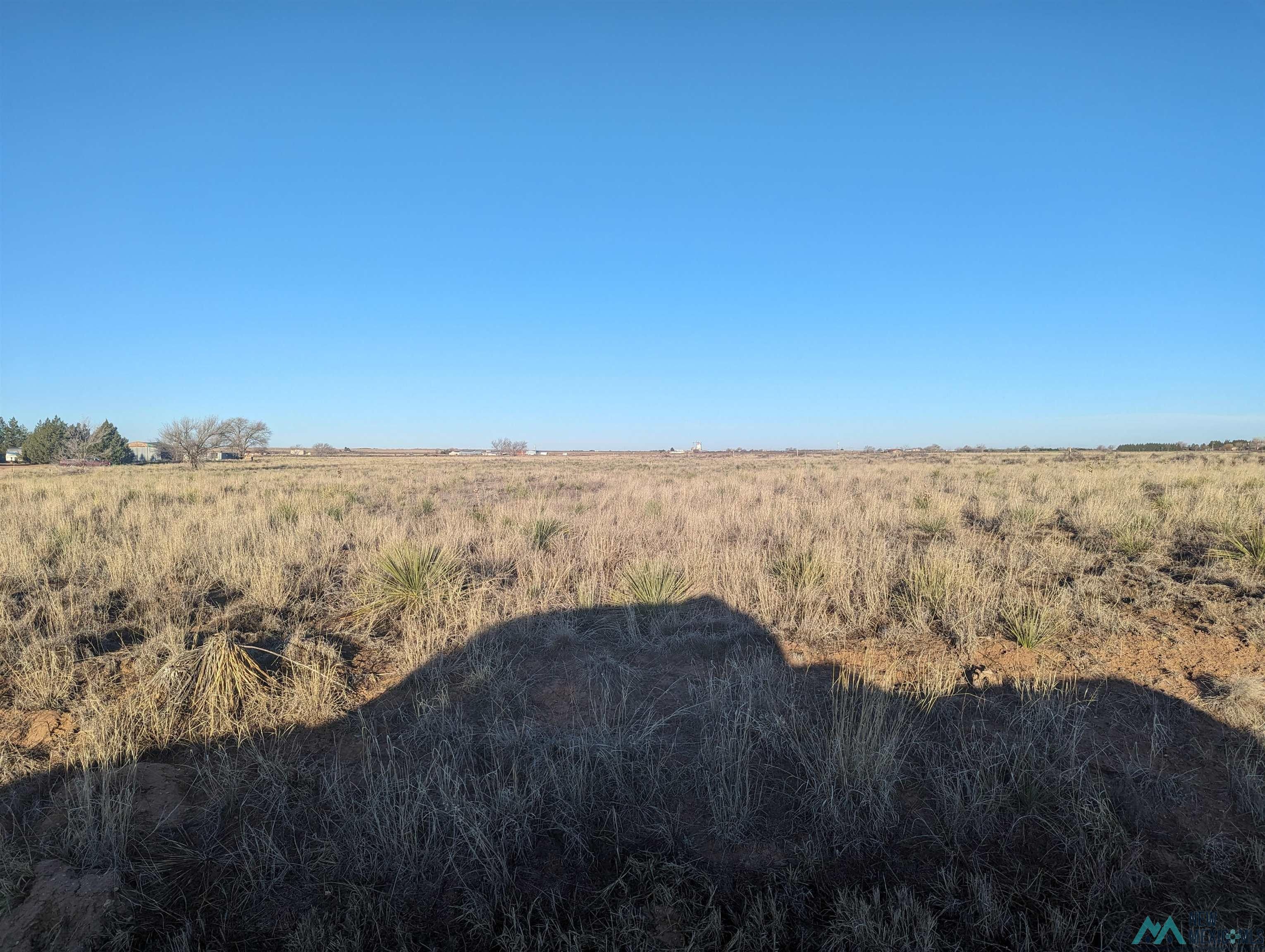 10 acres in Roosevelt County, New Mexico