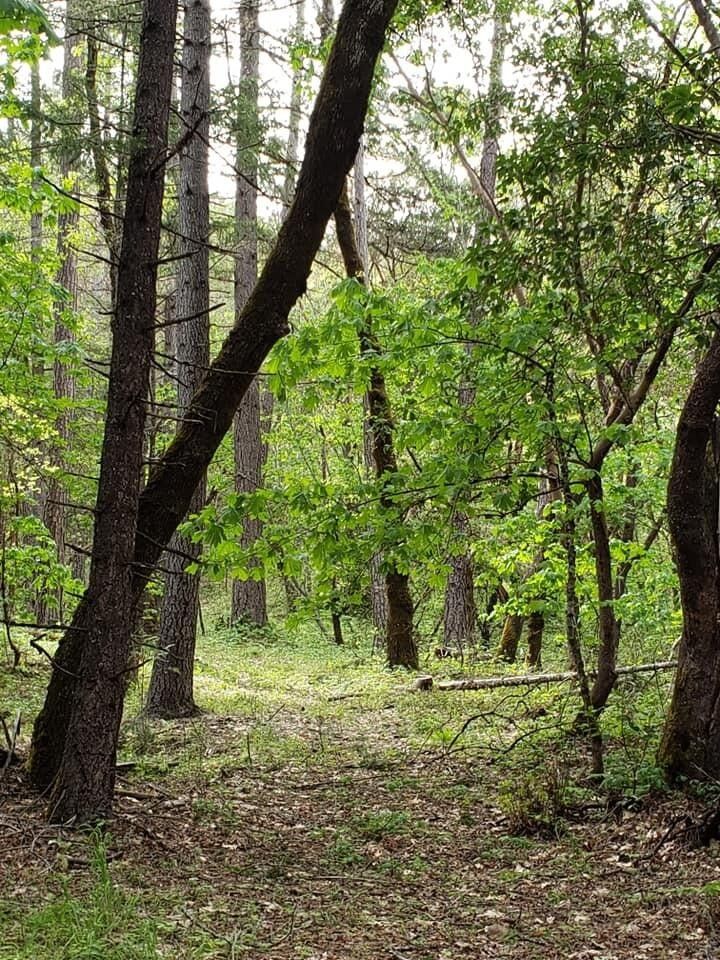 Parcel 2 Riverbanks Road, Grants Pass, OR 97527 MLS 220177804