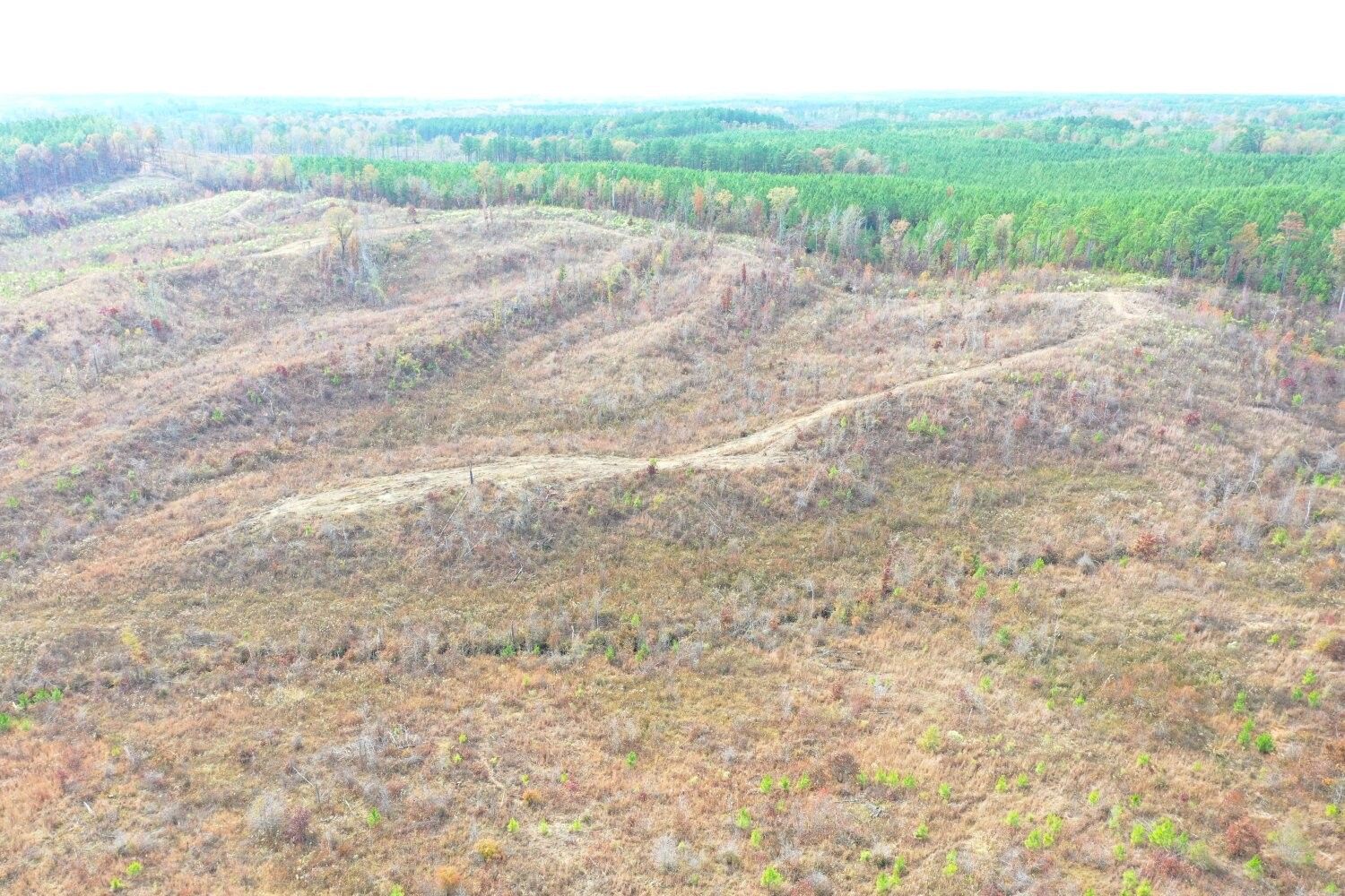 80 acres in Attala County, Mississippi