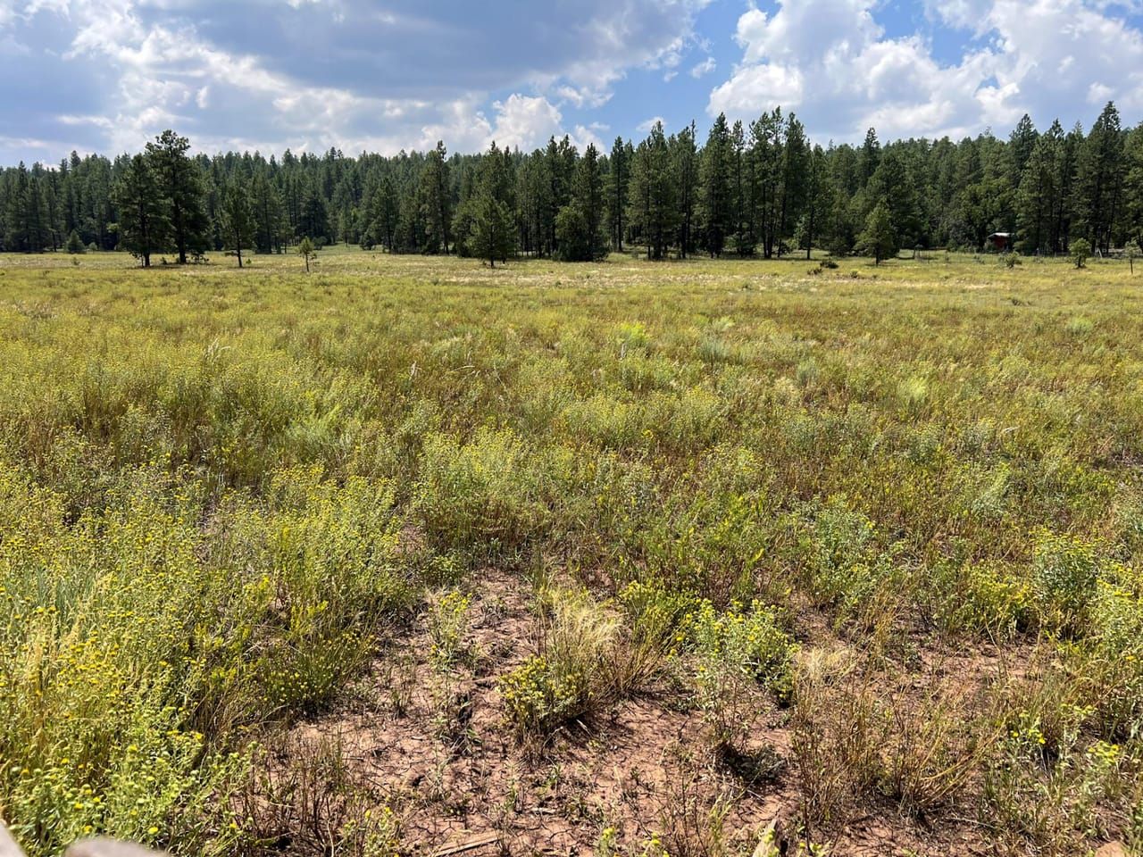 20 acres in McKinley County, New Mexico