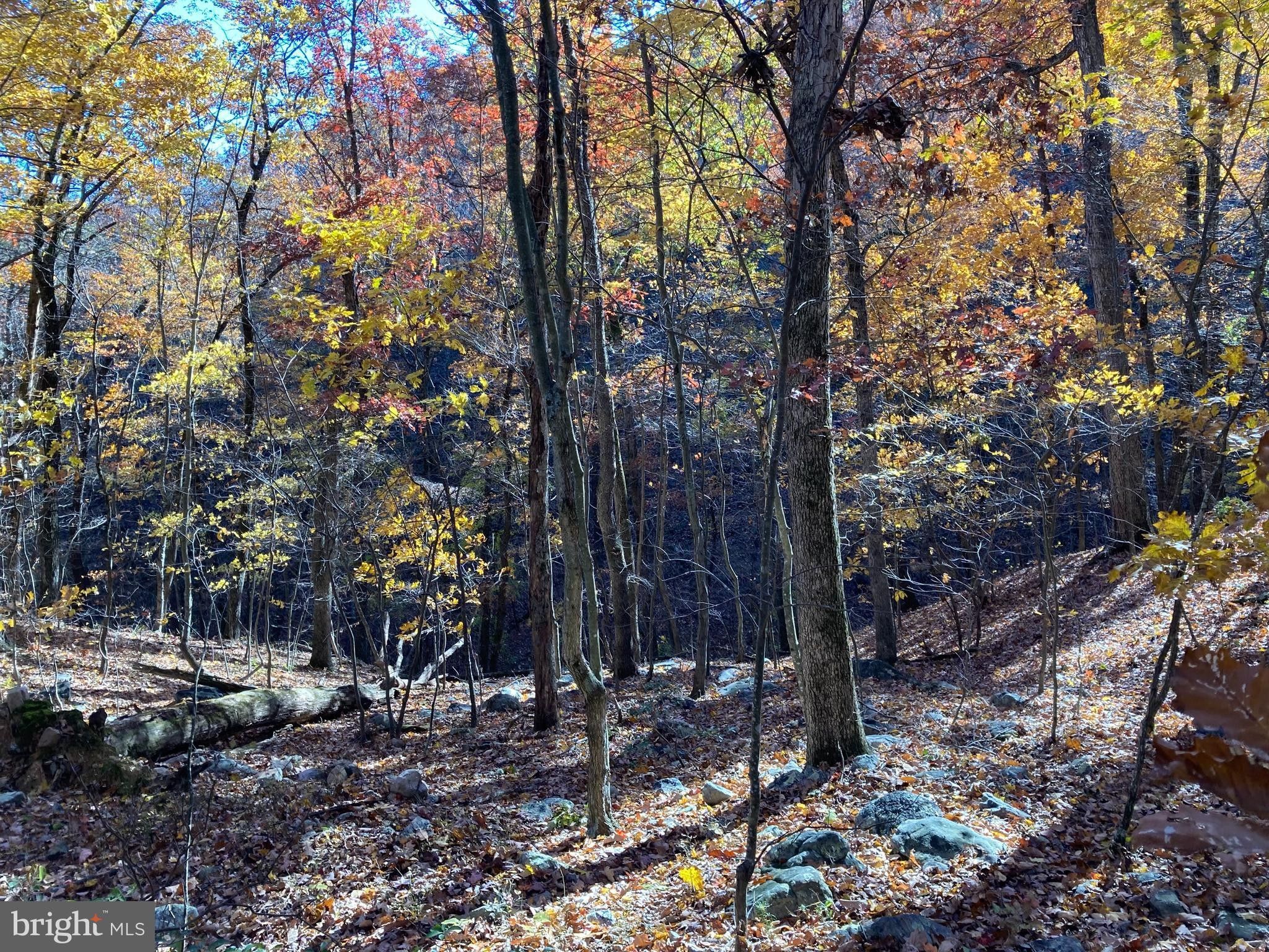 4.36 acres in Page County, Virginia