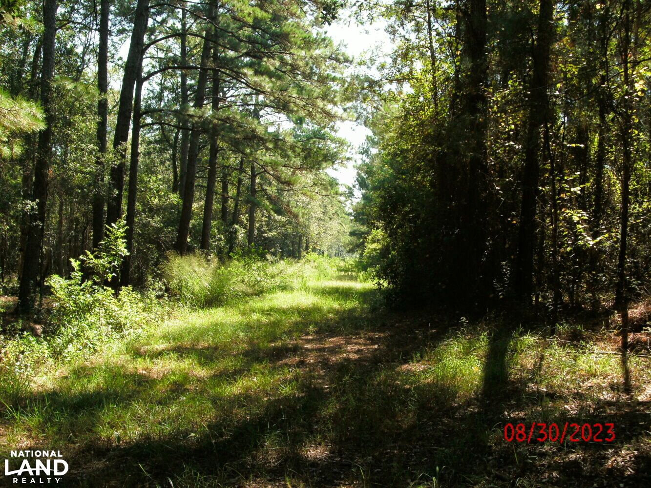 80 acres in Saint Tammany Parish, Louisiana