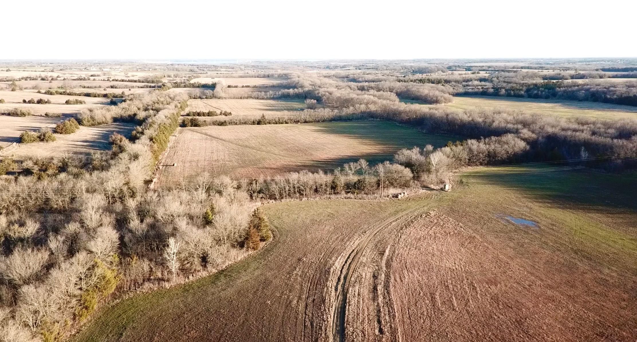 279 acres in Dodd City, TX, 75438