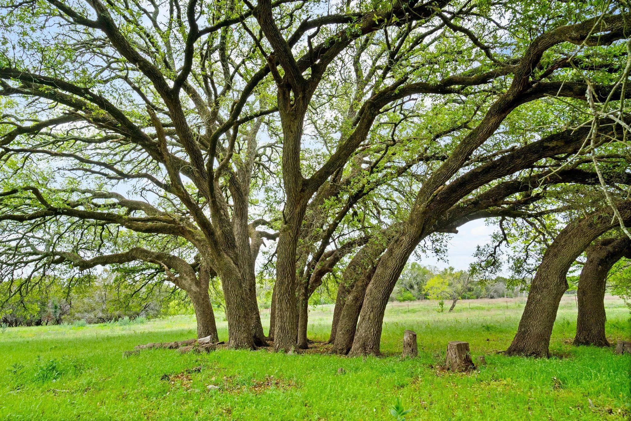 10.76 acres in Erath County, Texas