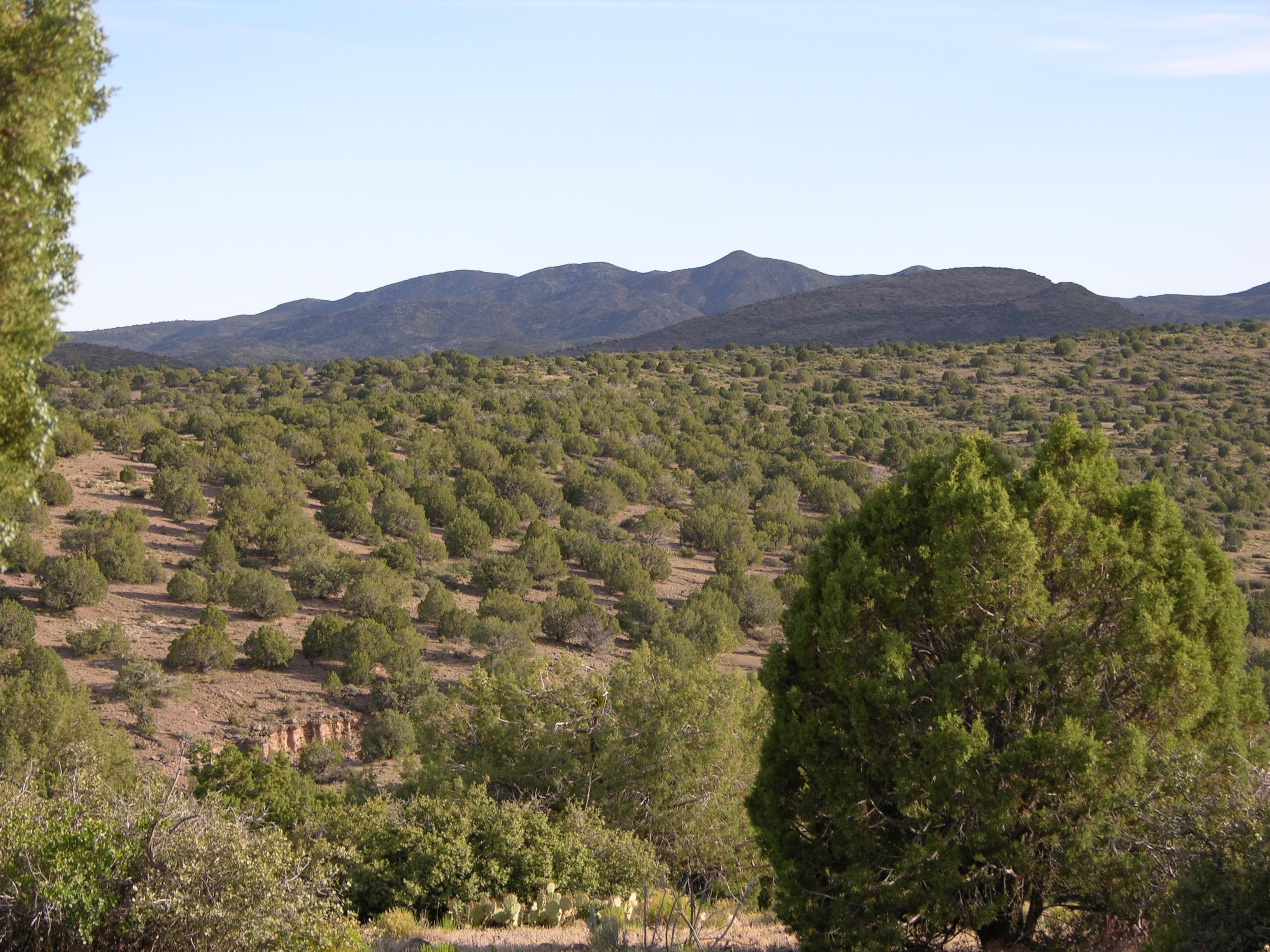 5,500 acres in Mohave County, Arizona