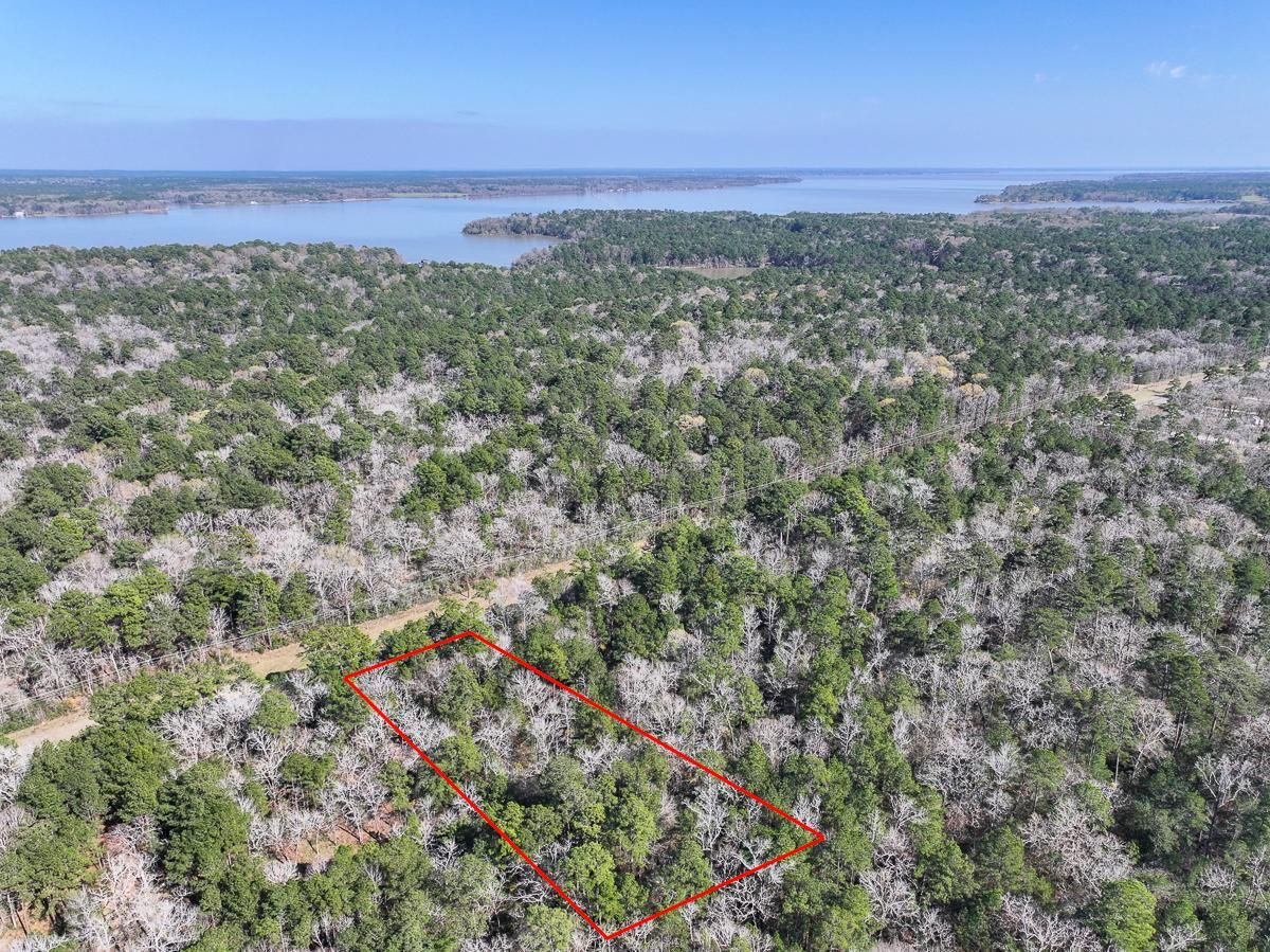 B FM 980, Oakhurst, TX 77359