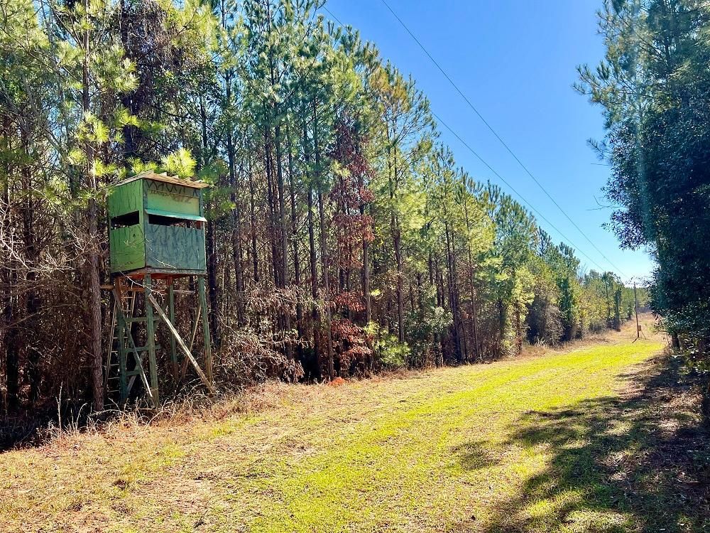 83 acres in Irwinton, GA, 31042