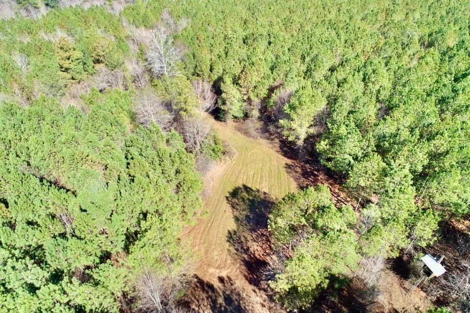 253 acres in Irwinton, GA, 31042