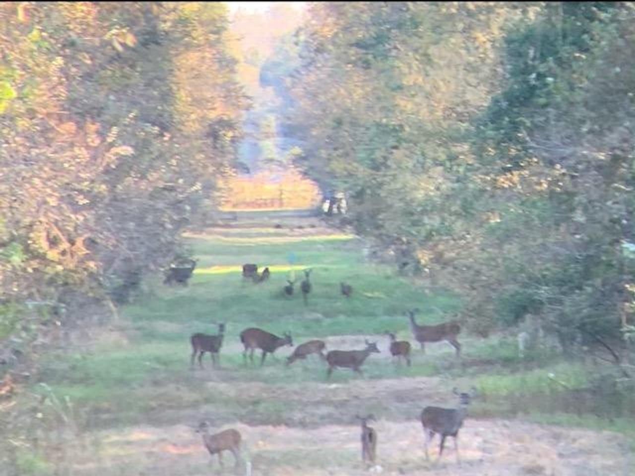 1,280 acres in Saint Landry Parish, Louisiana
