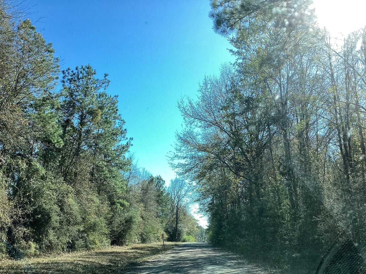 20 acres in Allen Parish, Louisiana