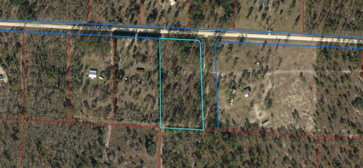 5 acres in Levy County, Florida