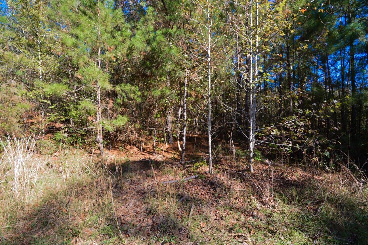 TBD Off CR 232, San Augustine, TX, San Augustine, TX 75935 MLS