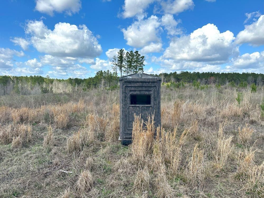 U.S. 11, Heidelberg, MS 39439