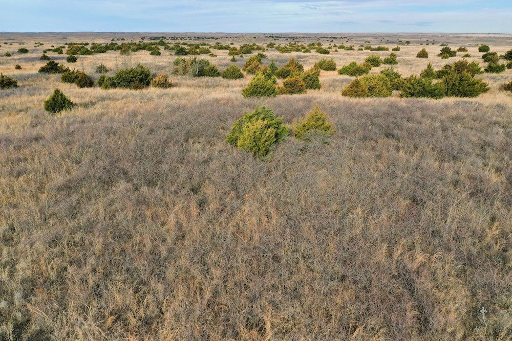 RR., Fort Supply, OK 73481