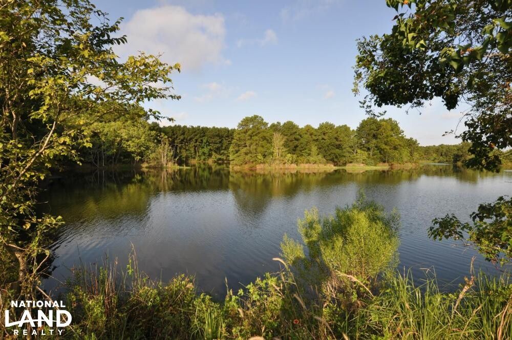 Old Riley Fuzzel Rd, Spring, TX 77386