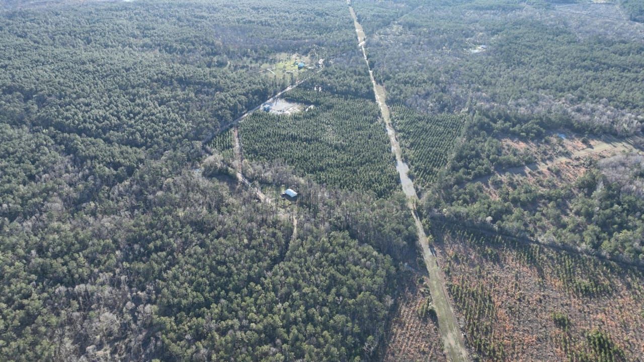 43 acres in Allen Parish, Louisiana
