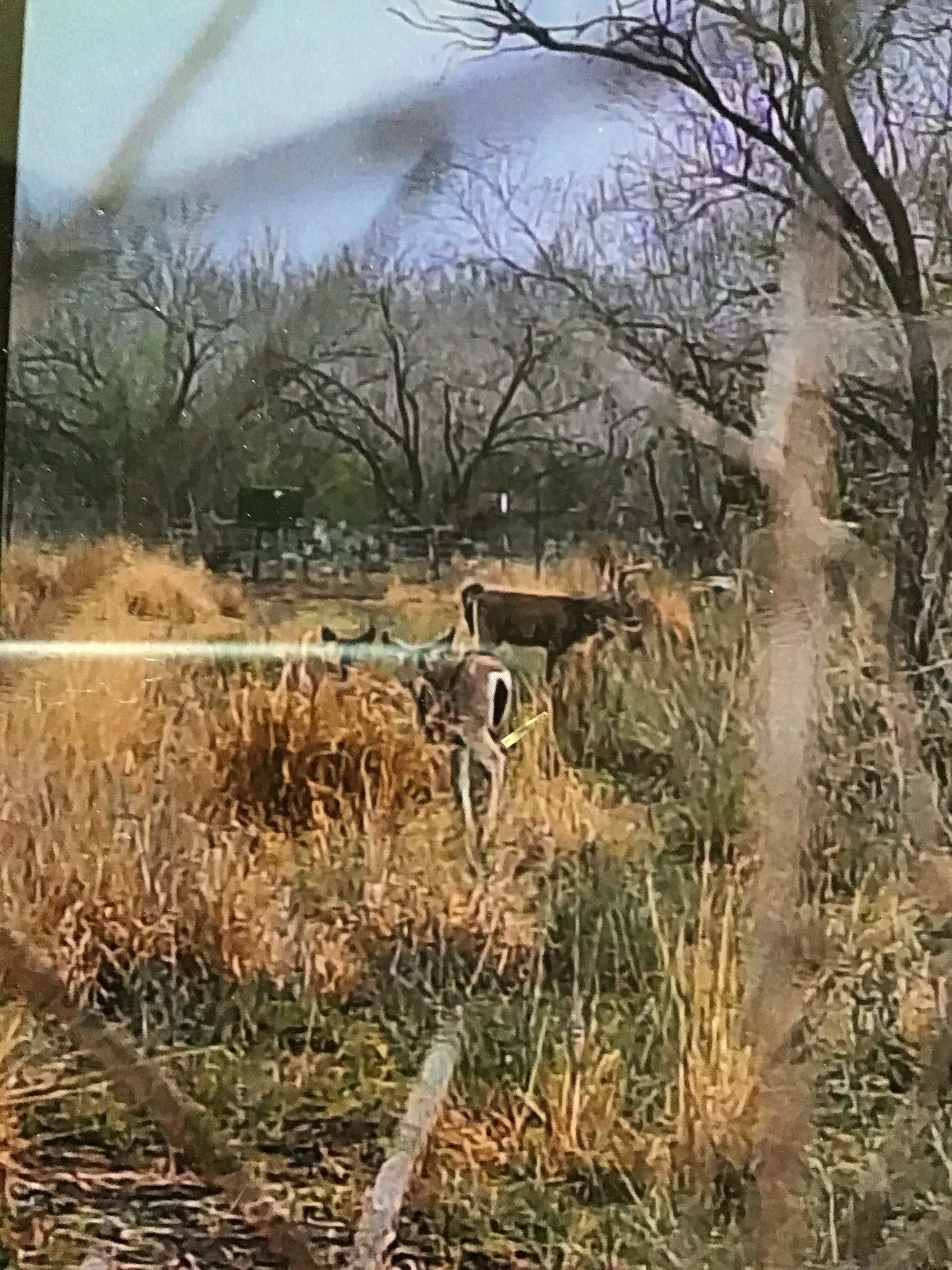 309 acres in Tilden, TX, 78072