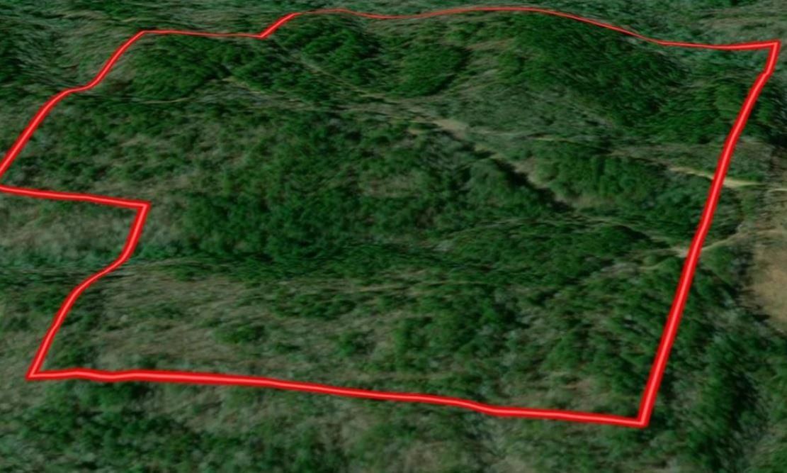 0 Snake Branch Road, Kennedy, AL 35574 MLS 161361