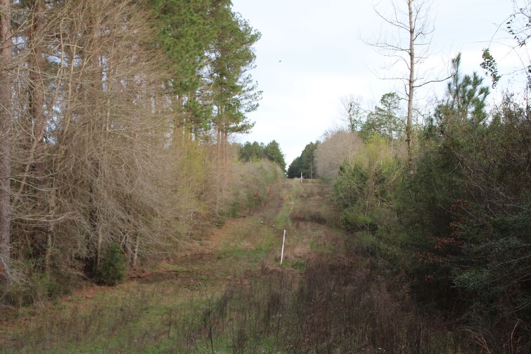 36 acres in Walthall County, Mississippi