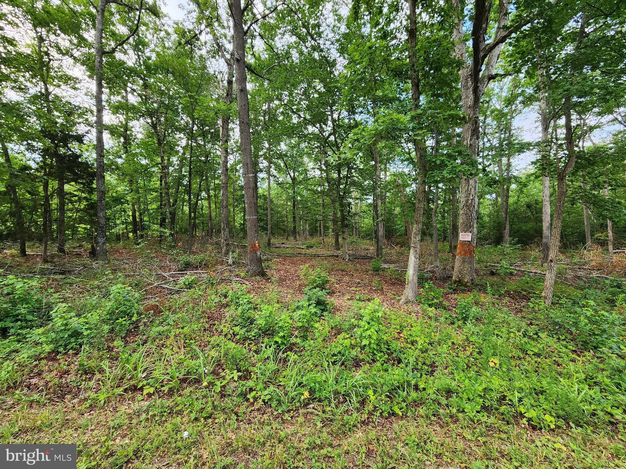 3555 BAPTIST CHURCH ROAD, Nanjemoy, MD 20662 MLS MDCH2030706