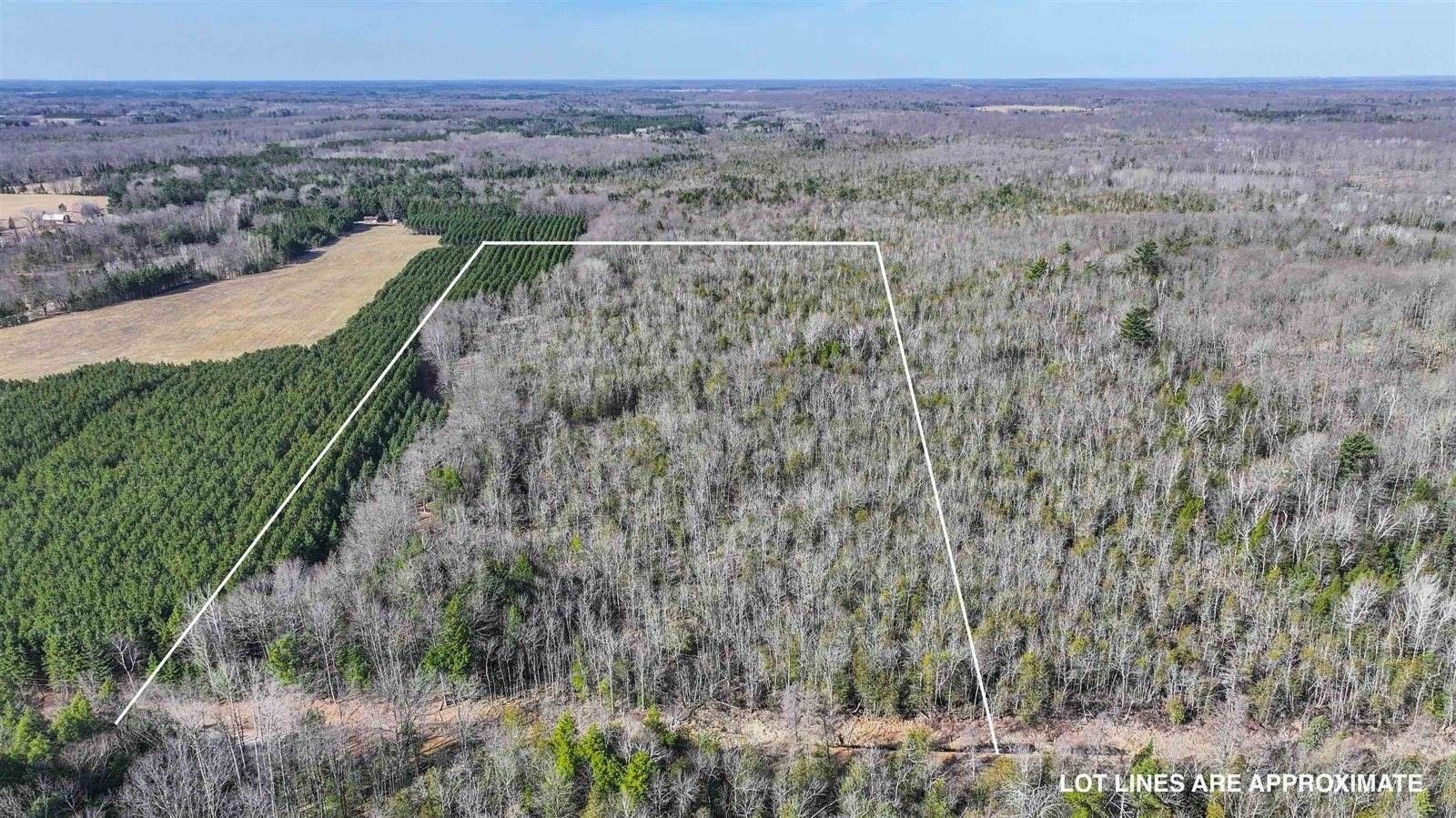 20 acres in Portage County, Wisconsin