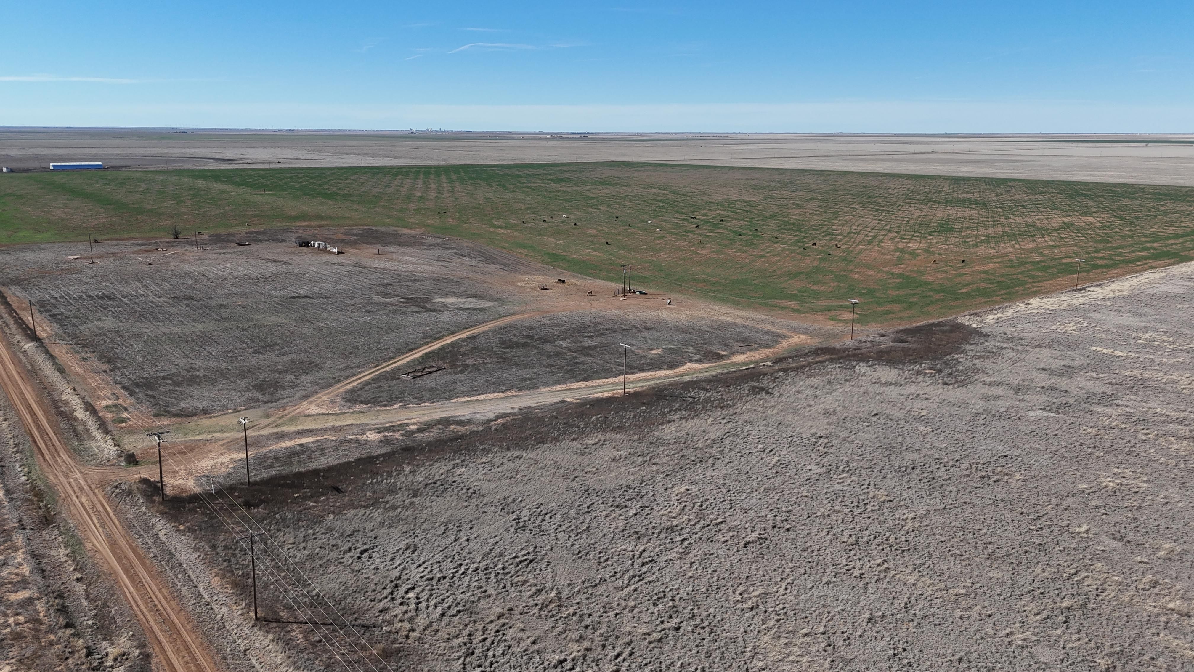 1,010 acres in Swisher County, Texas