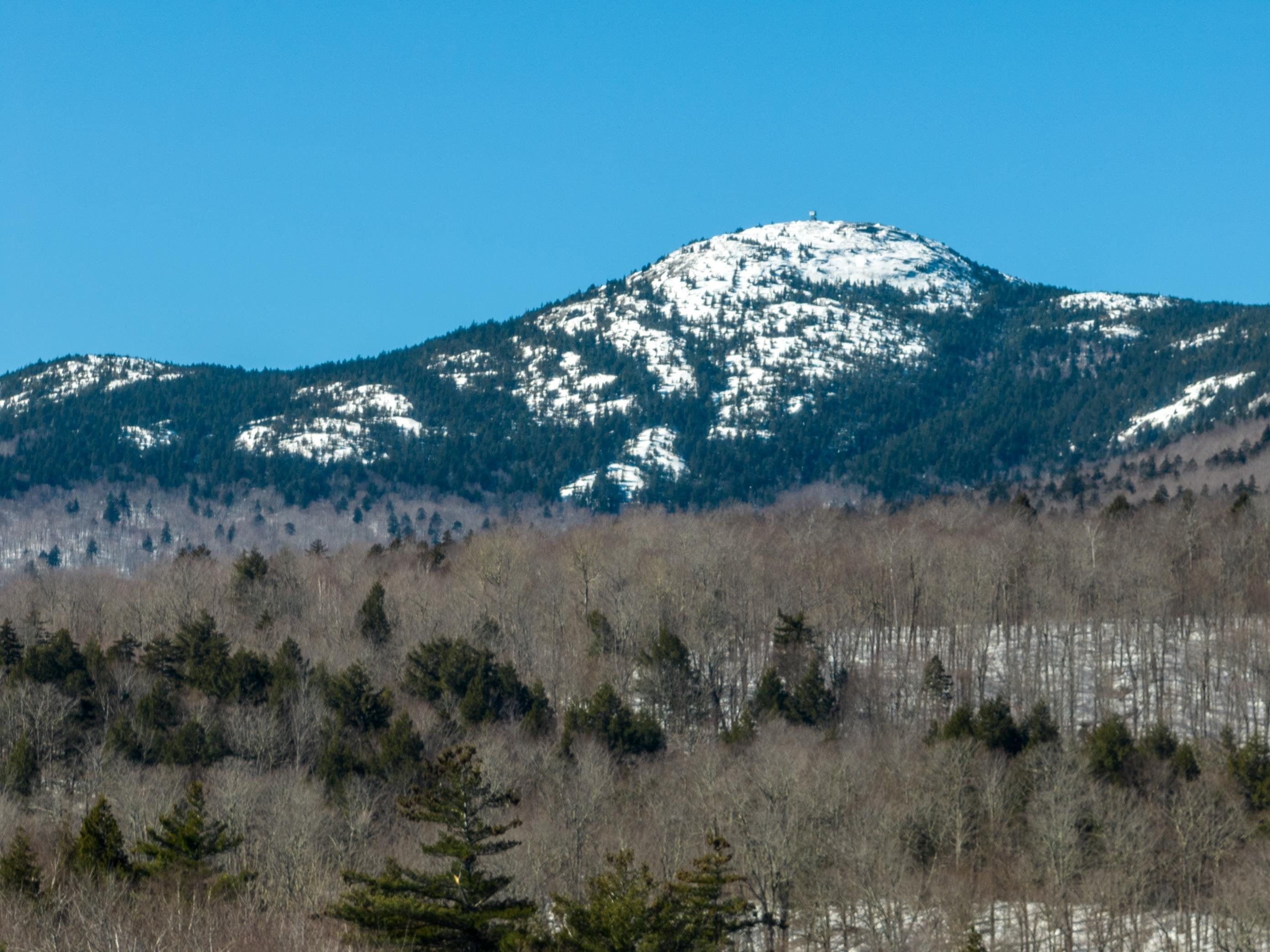 118.5 acres in Grafton County, New Hampshire