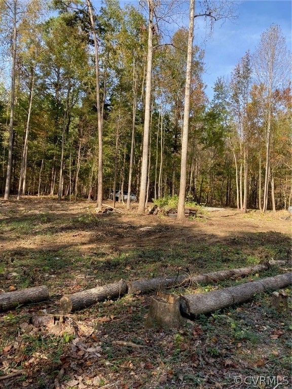 2 acres in Amelia County, Virginia