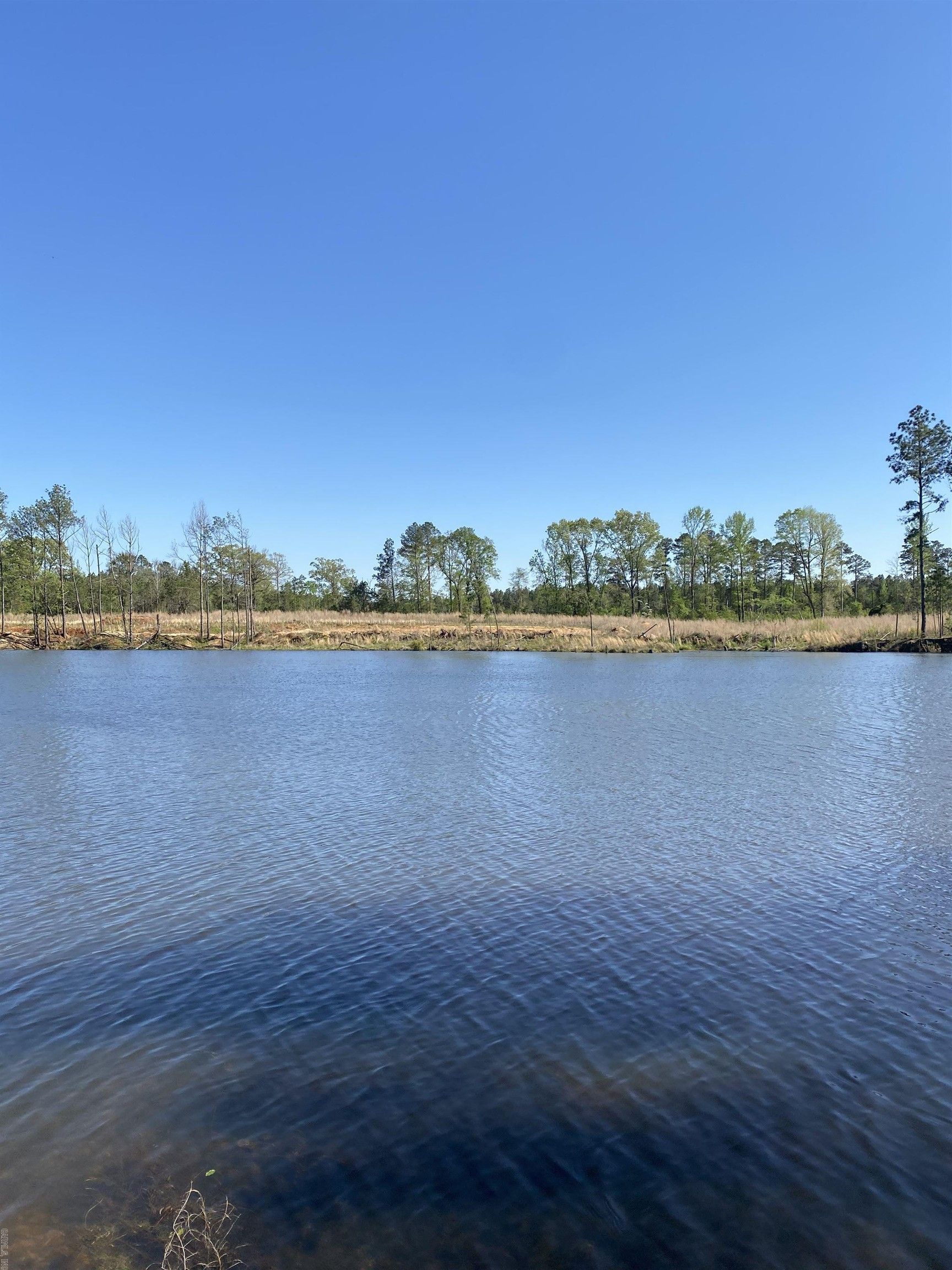 40 acres in Bradley County, Arkansas