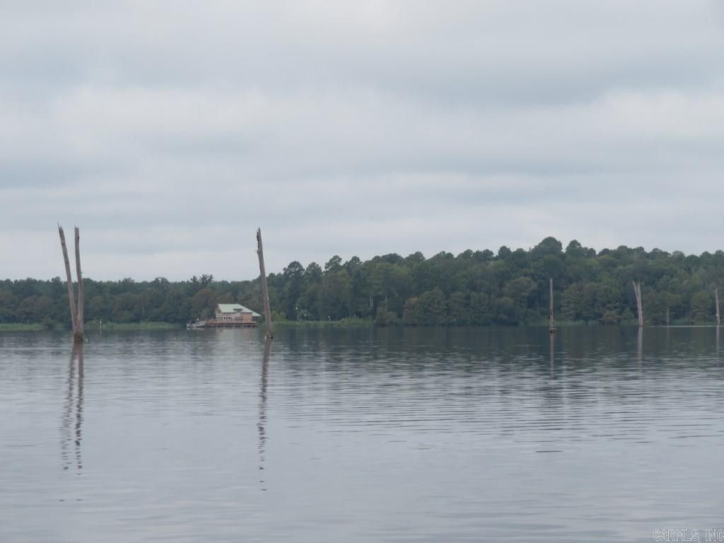 113 acres in Lewisville, AR, 71845 MLS 24008935