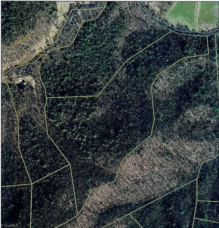 30 acres in Wilkes County, North Carolina