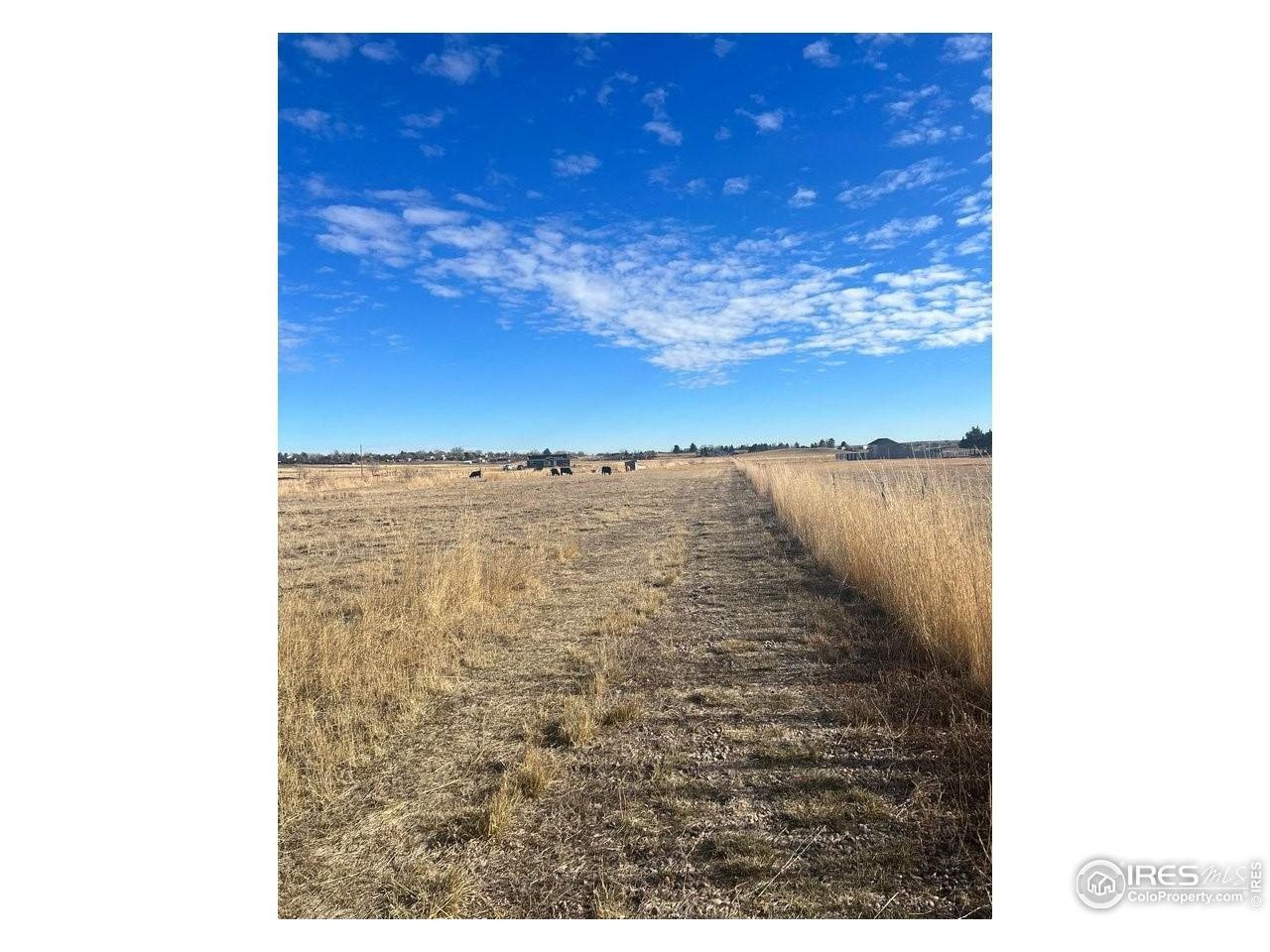 15 acres in Larimer County, Colorado